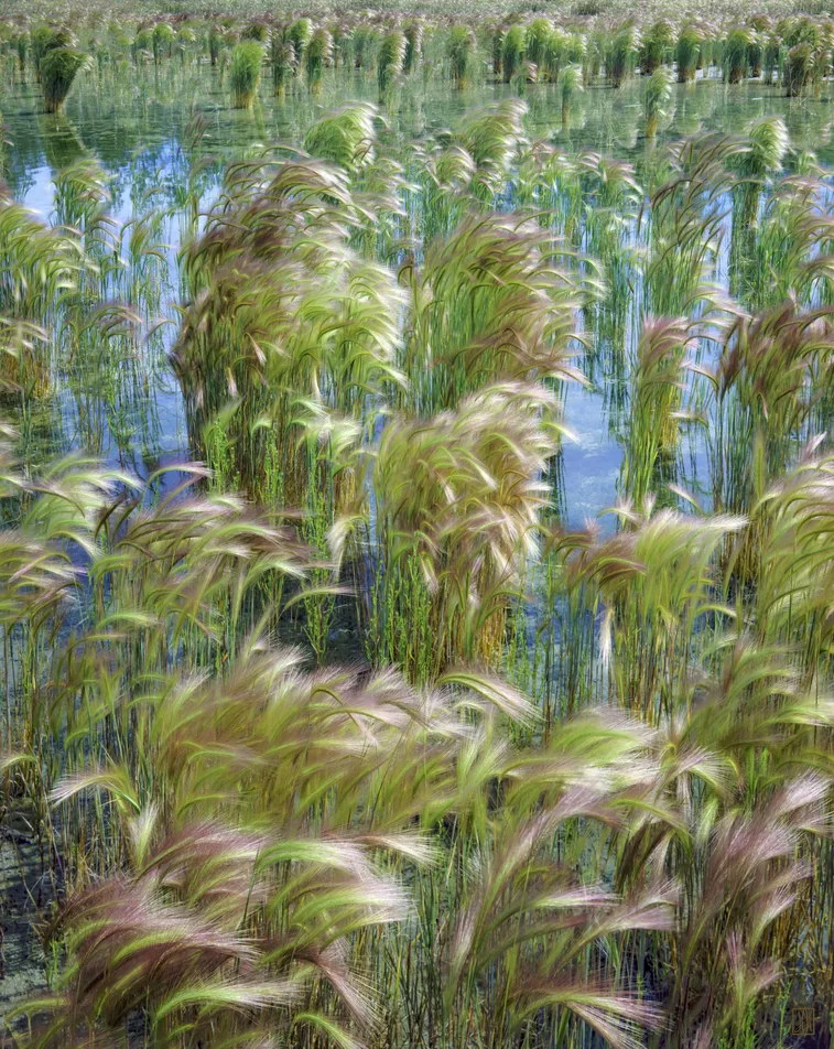 Pond, British Columbia