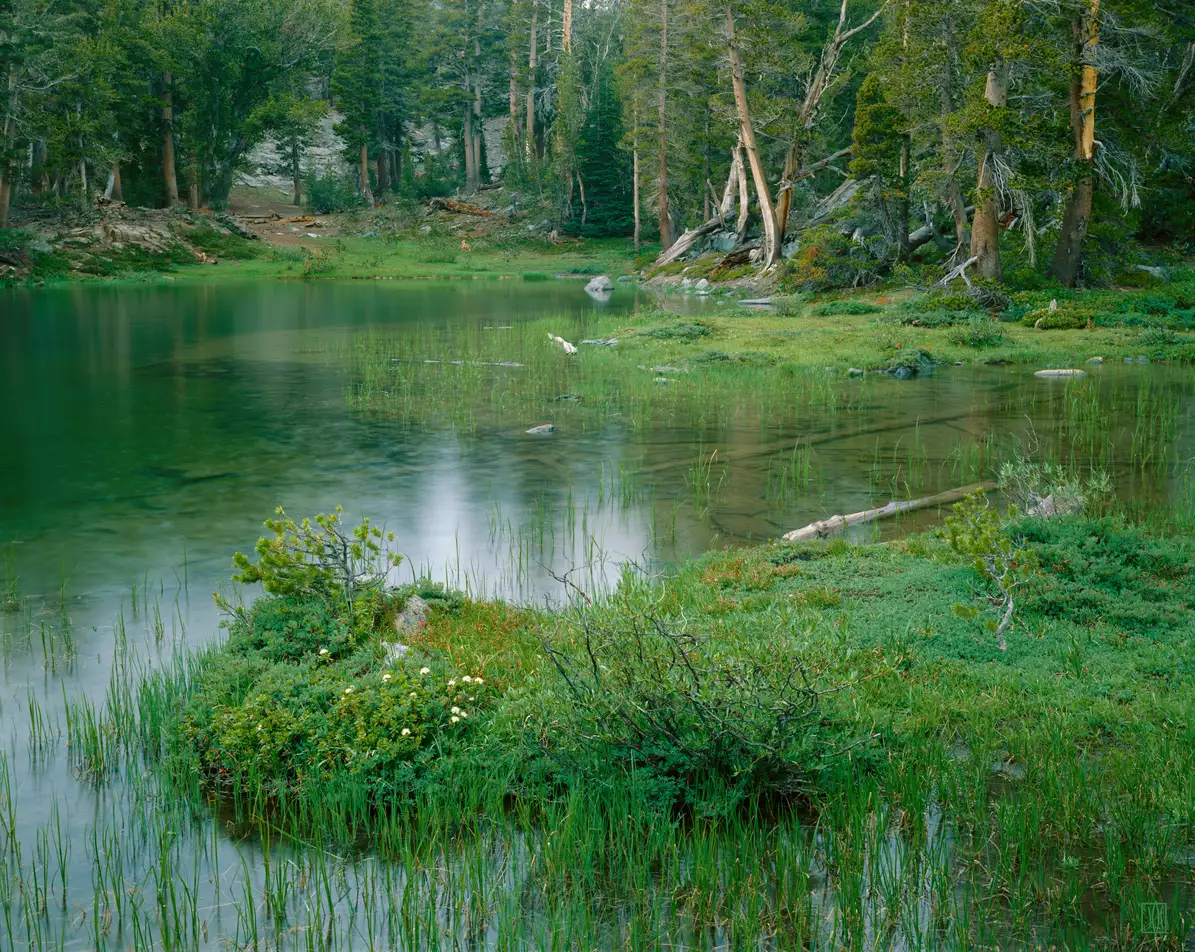 Summer rain, Minarets Wilderness, California