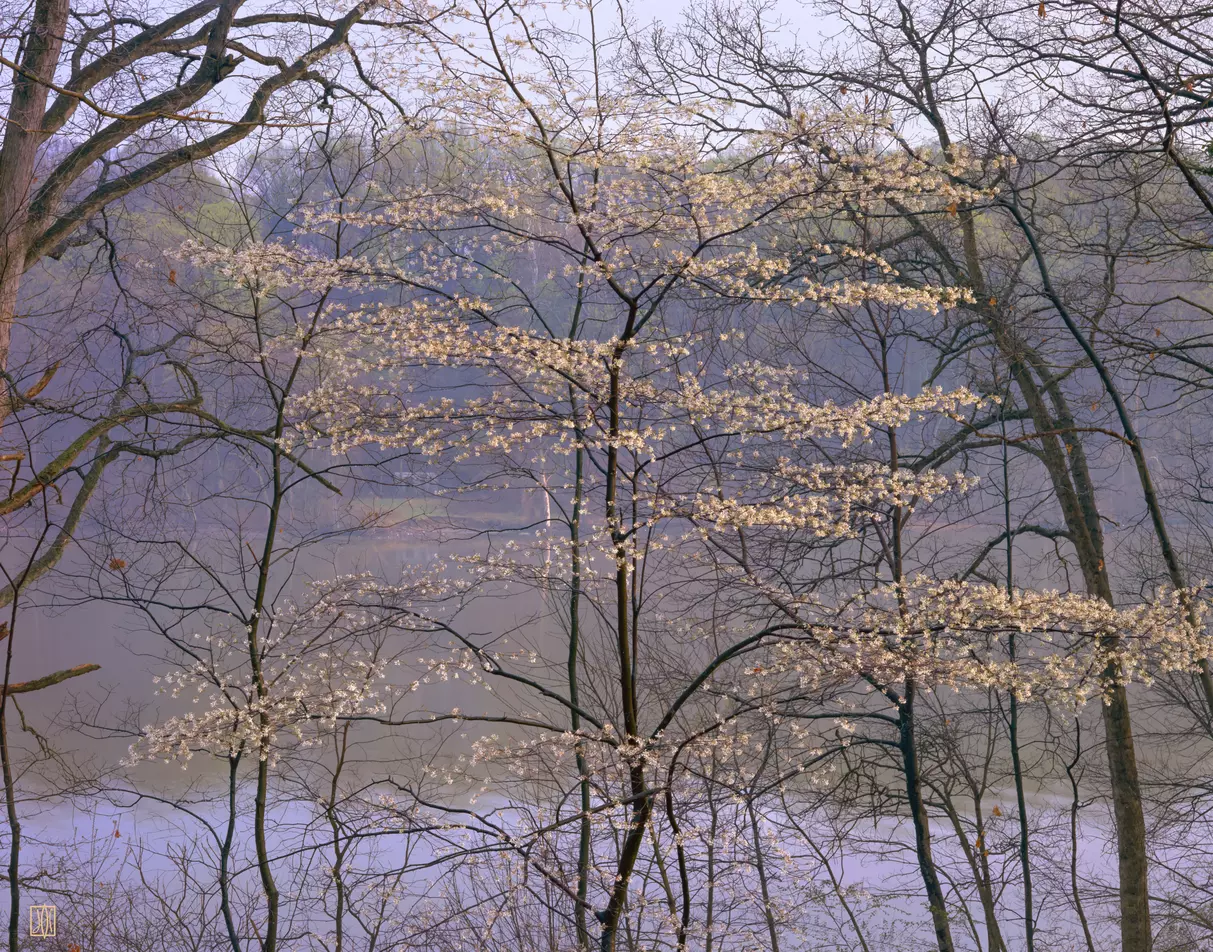 Spring on the Potomac, Fort Washington, Maryland