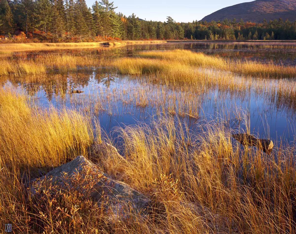 Aunt Betty’s Pond, Acadia National Park, Maine