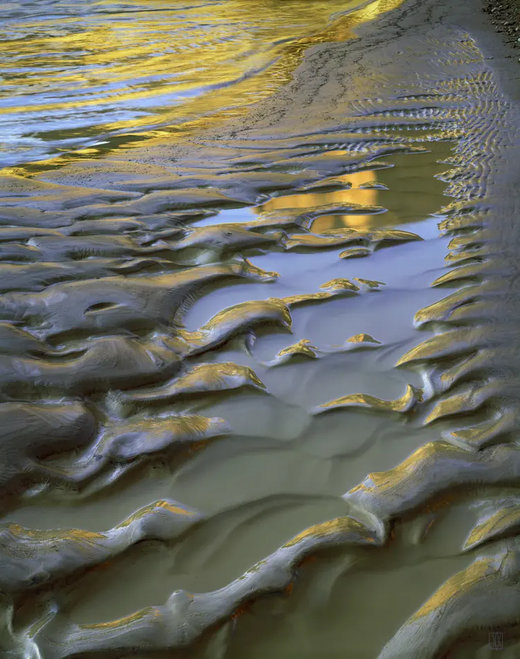 The elegant mud, Escalante, Utah