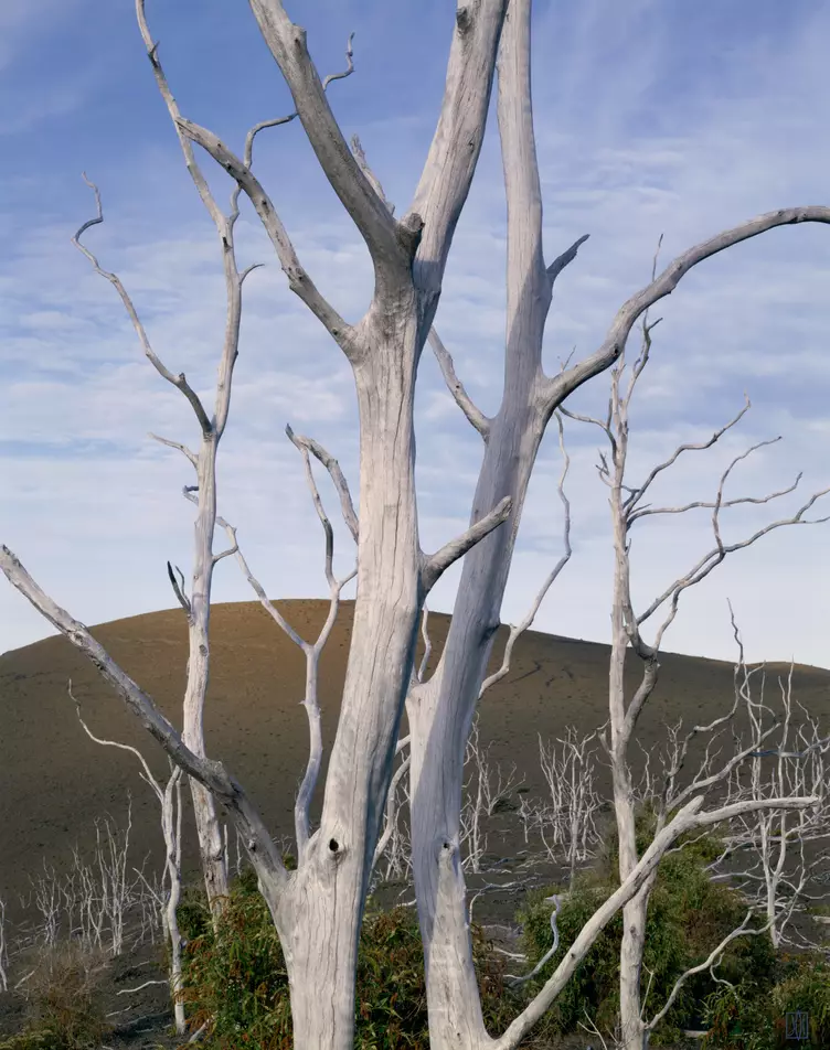 Kilauea Iki, Hawaii Volcanoes National Park, Hawaii