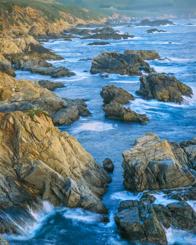 Otter Cove, Big Sur, California