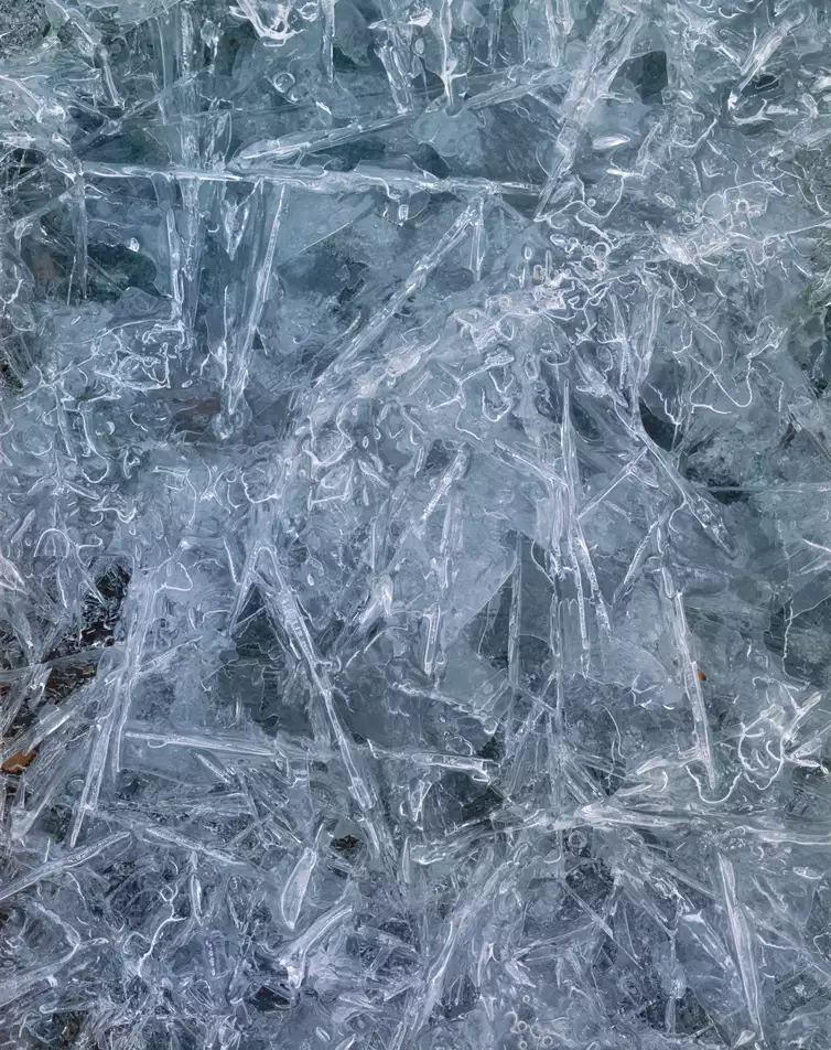 Ice, Igloo Creek, Denali National Park, Alaska