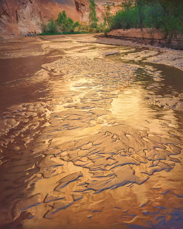 Streambed, Coyote Gulch, Utah