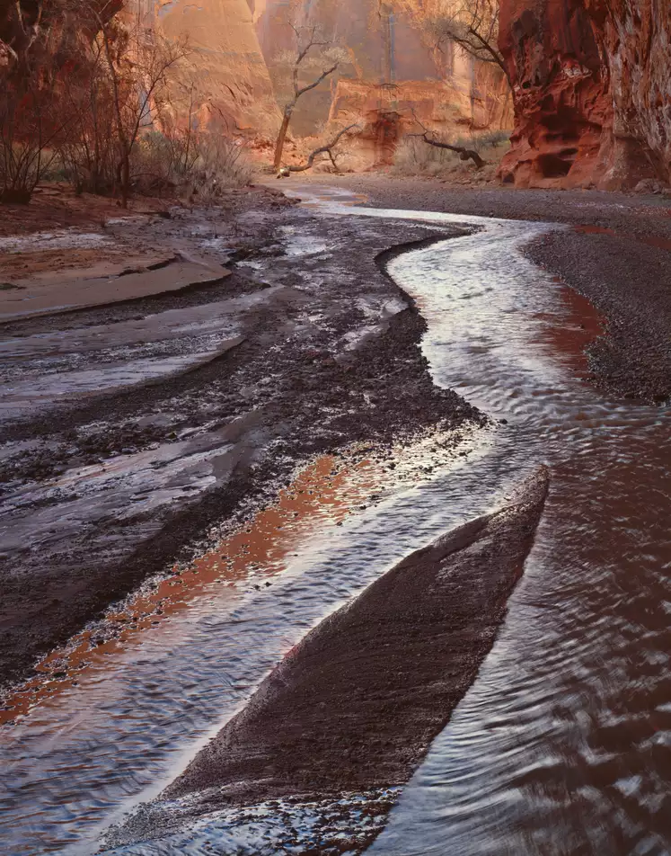 Silver Falls Creek, Escalante, Utah